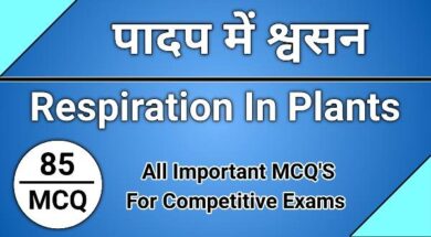 Respiration In Plants