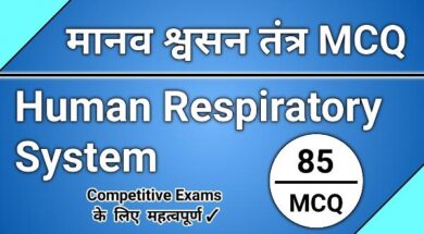 human respiratory system mcq in hindi