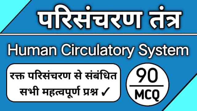 blood circulatory system in human