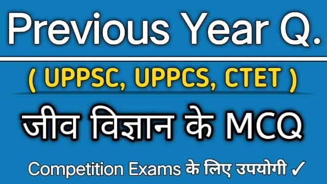 previous year question paper